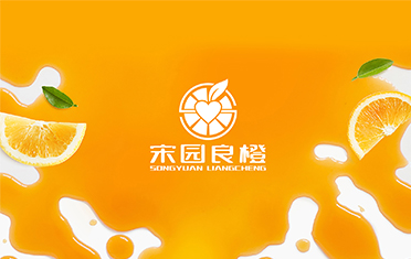 某良橙——韶关LOGO设计